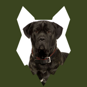 Fenrir Cane Corso Podcast