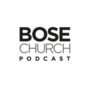 Bose Pro